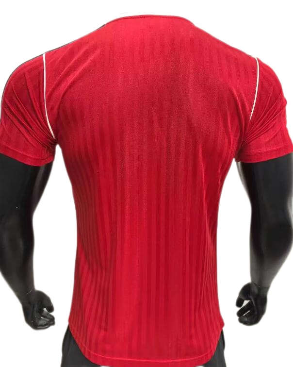 Manchester Utd 25/26 Special Red Jersey(Player)