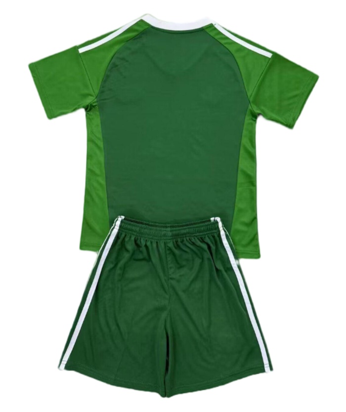 Kids-Argentina 25/26 GK Green Soccer Jersey