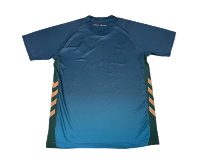 Werder Bremen 25/26 Third Green Soccer Jersey