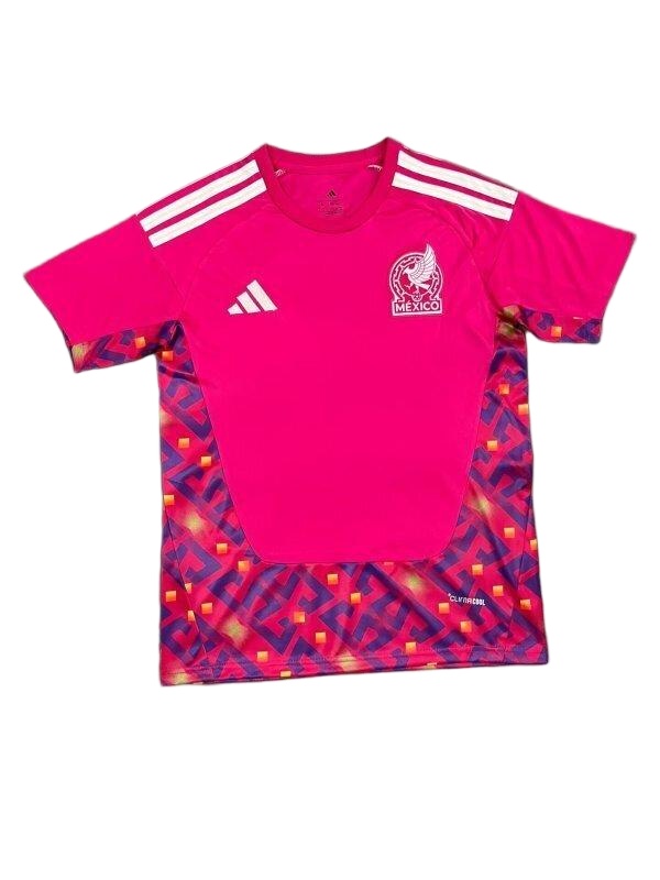 Mexico 2026 World Cup GK Pink Leaked Soccer Jersey