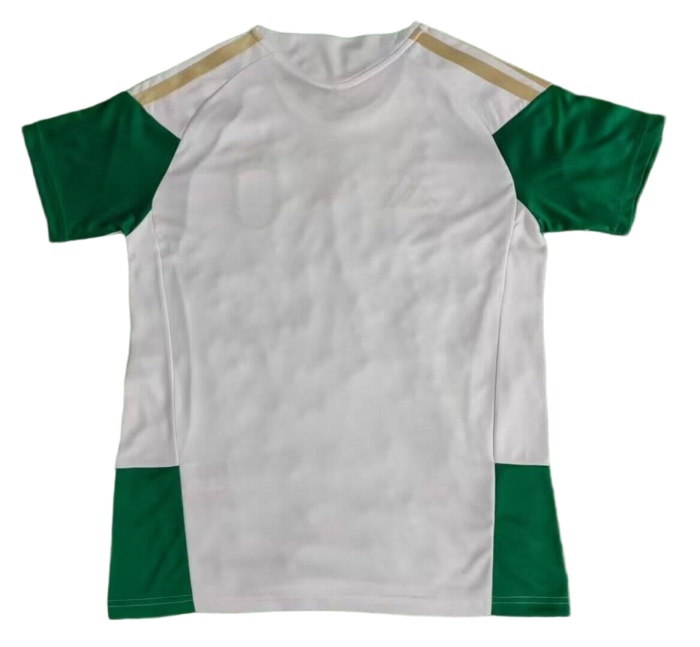 Italy 25/26 Special White/Green Soccer Jersey