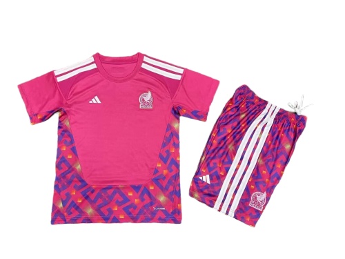 Kids-Mexico 2026 World Cup GK Pink Soccer Jersey