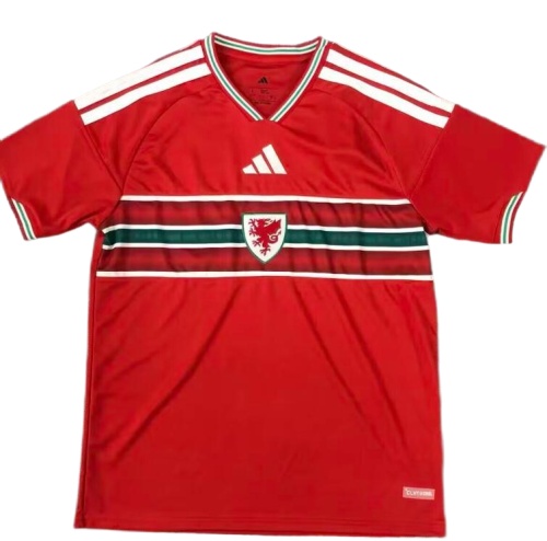 Wale 2026 World Cup Home Soccer Jersey