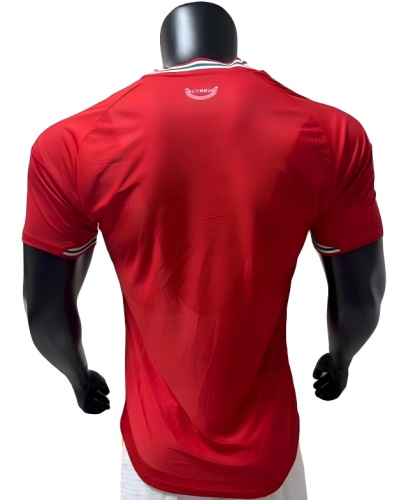 Wale 2026 World Cup Home Soccer Jersey(Player)
