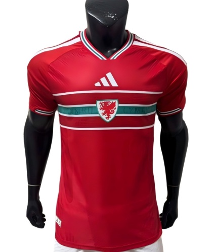 Wale 2026 World Cup Home Soccer Jersey(Player)