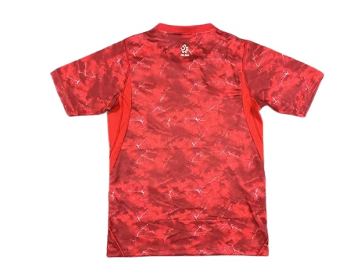 Poland 2026 World Cup Away Soccer Jersey