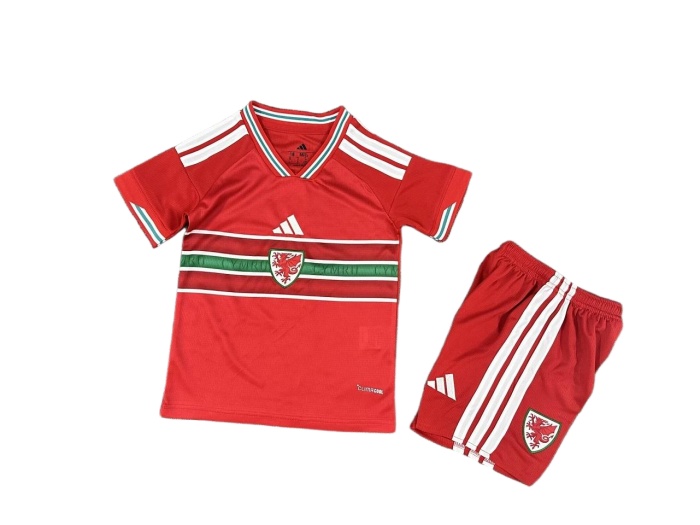 Kids-Wales 2026 World Cup Home Soccer Jersey