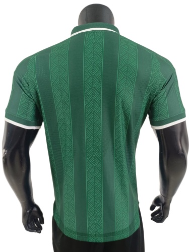 South Africa 2026 World Cup Away Jersey(Player)