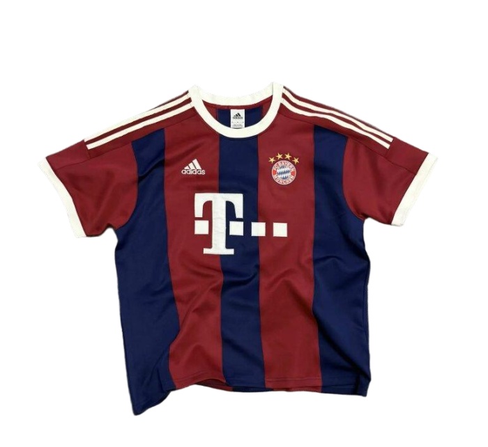 Bayern Munich 26/27 Special Red/Blue Sweater Jersey