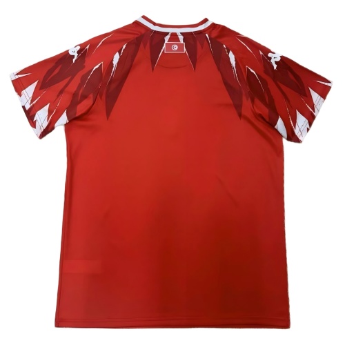 Tunisia 2026 World Cup Away Soccer Jersey