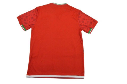 Iran 2026 World Cup Away Jersey(Player)