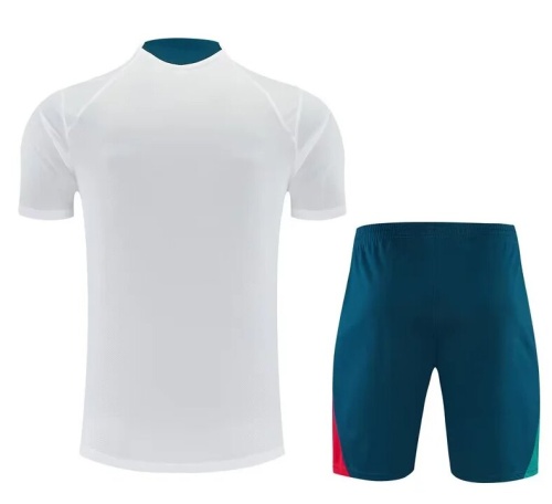 Portugal 26/27 White/Green/Red Training Kit Jerseys