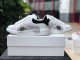 MQ shoes111