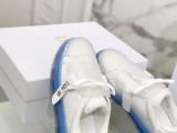 Dior shoes304