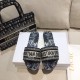 Dior shoes91