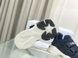 Dior shoes250
