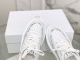 Dior shoes289