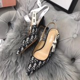 Dior shoes231