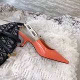 Dior shoes227