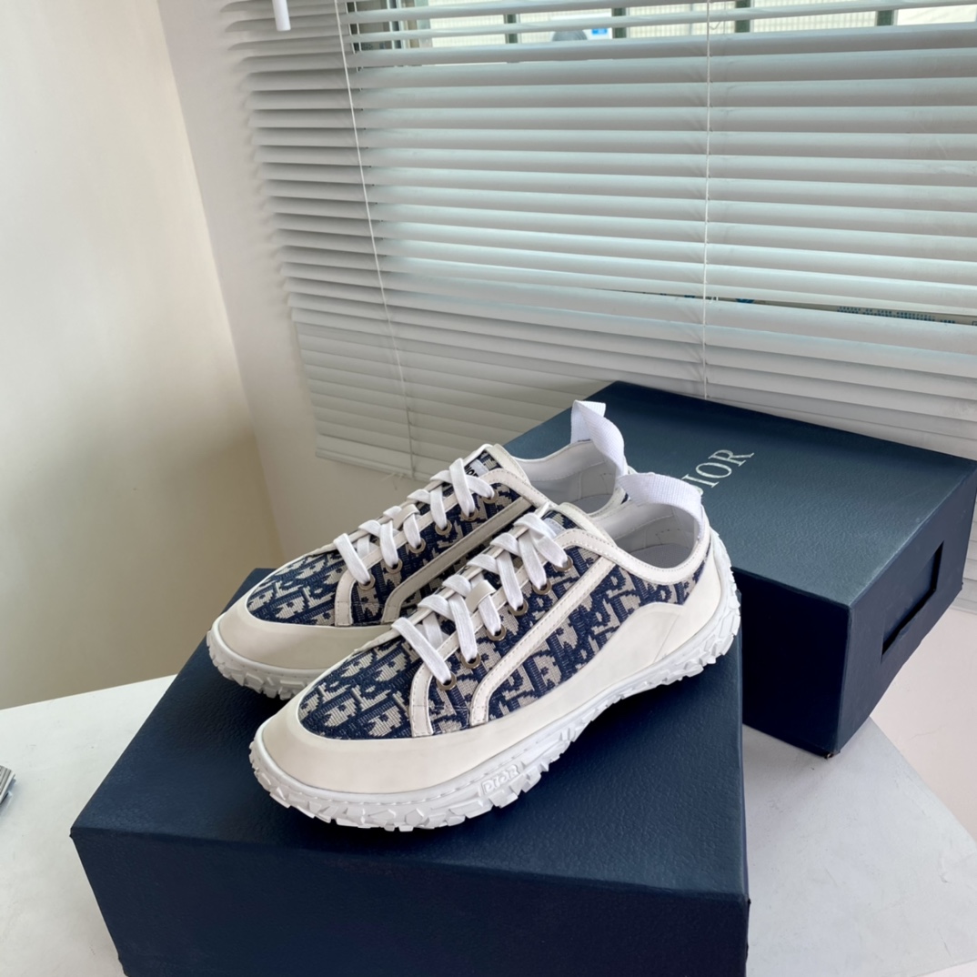 Dior shoes388