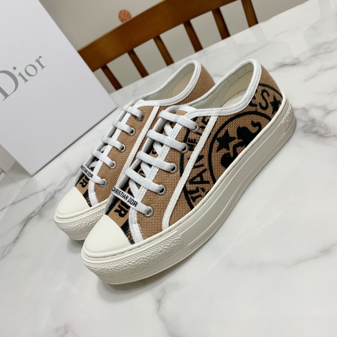 Dior shoes238