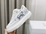Dior shoes292