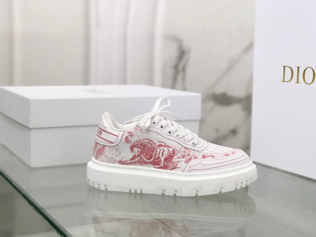 Dior shoes291