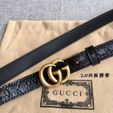 Gucci belt 2.0CM