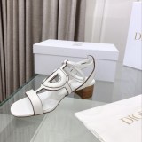 Dior shoes27