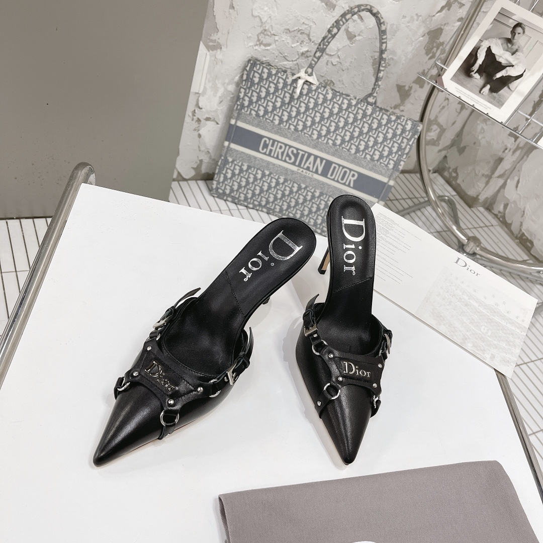 Dior shoes5