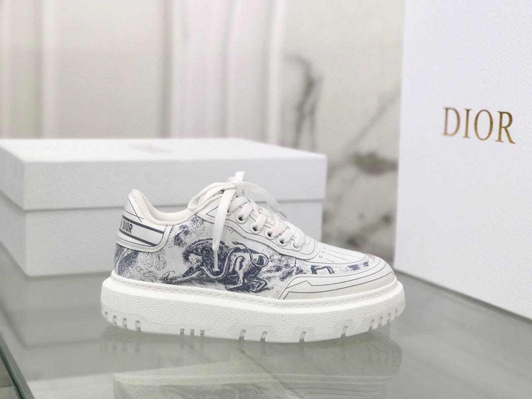 Dior shoes292
