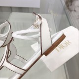 Dior shoes30