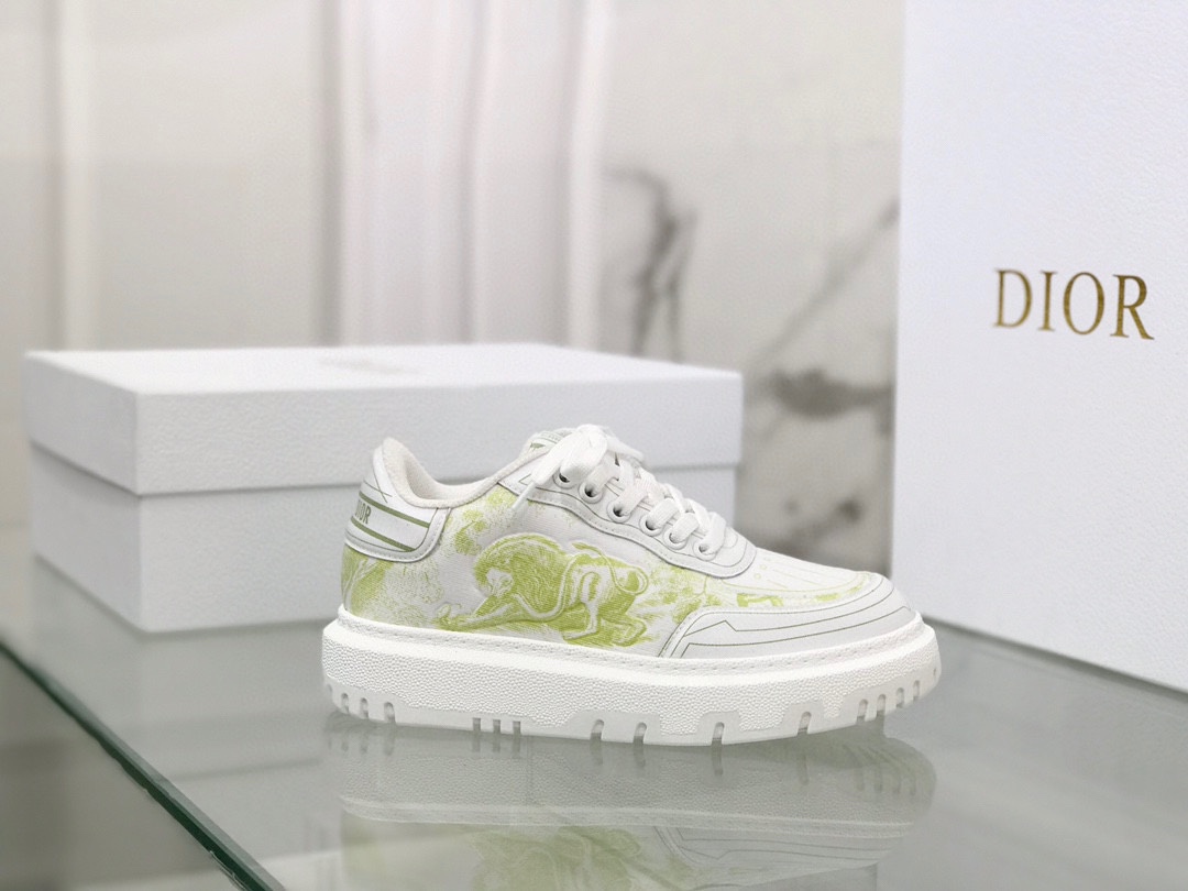 Dior shoes290