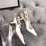 Dior shoes229