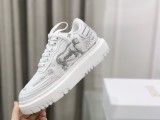 Dior shoes289