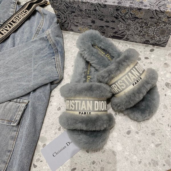 Dior shoes65