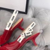 Dior shoes228