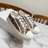 Dior shoes238
