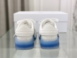 Dior shoes304