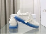 Dior shoes304