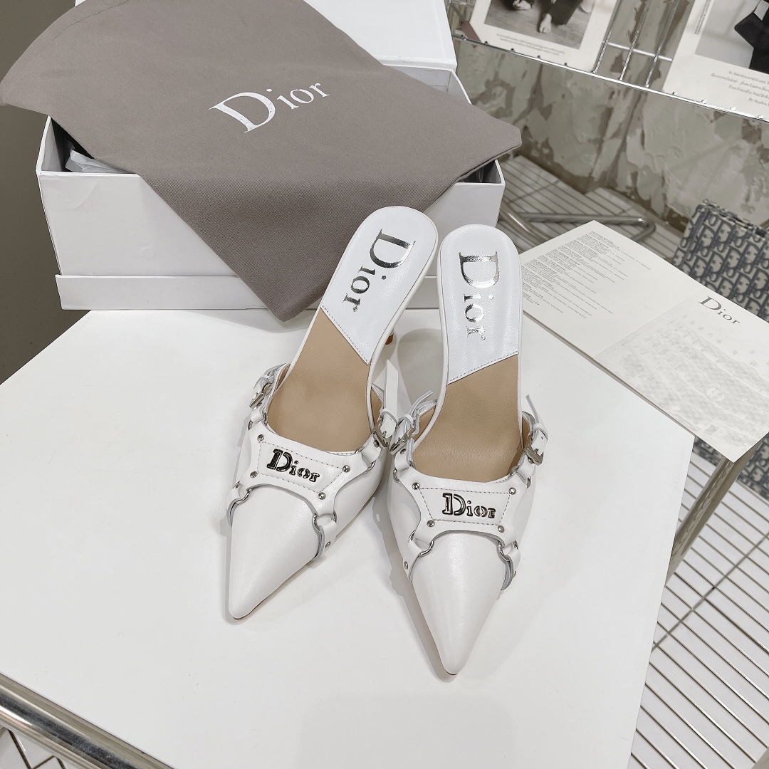 Dior shoes6