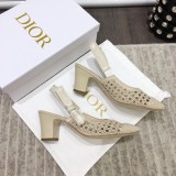 Dior shoes199