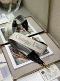 Dior shoulder strap 11