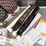 Dior shoulder strap 10