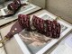 Dior shoulder strap 16