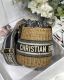 Dior wicker GD-0501