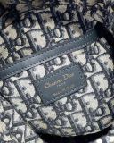 Dior wicker GD-0501