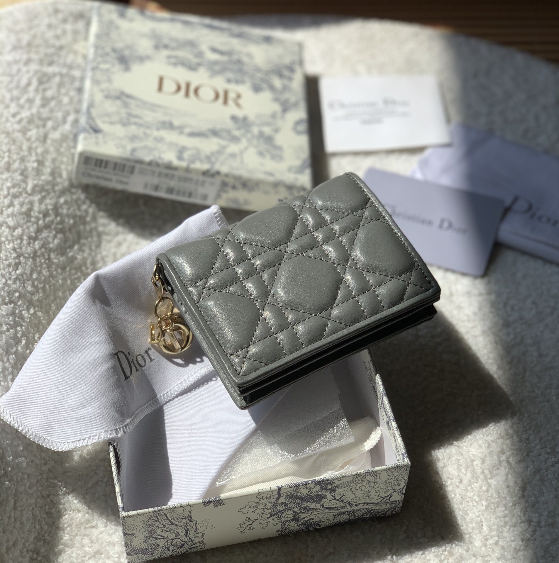 Dior wallet38