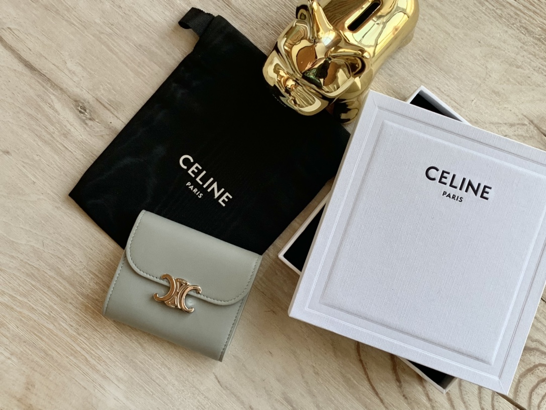 Celine wallet169