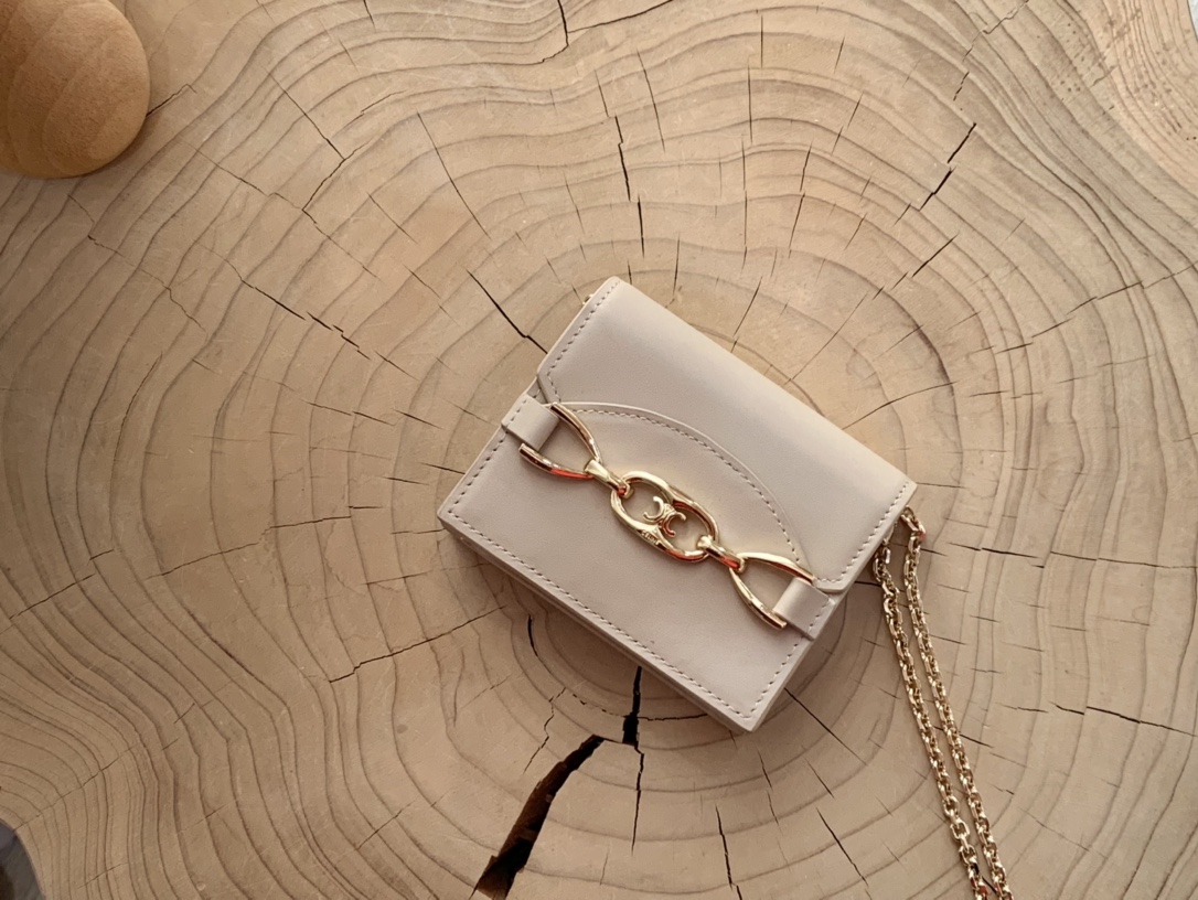 Celine wallet101